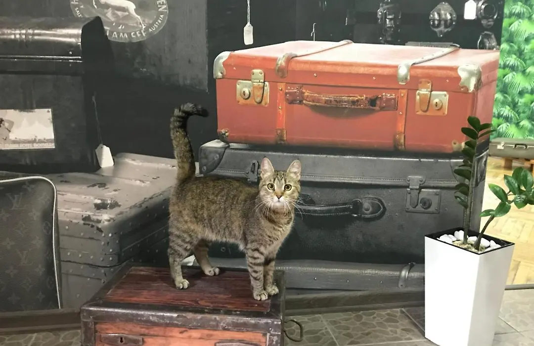 Sacvoyage-1